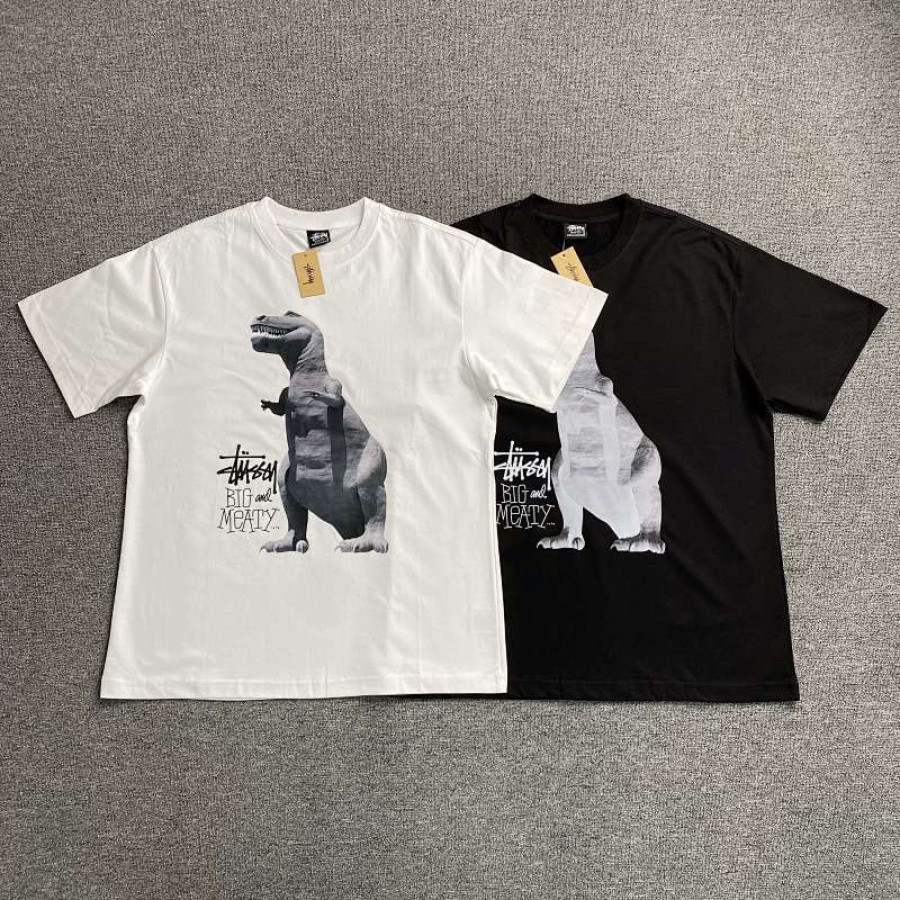 STUSSY T-shirt